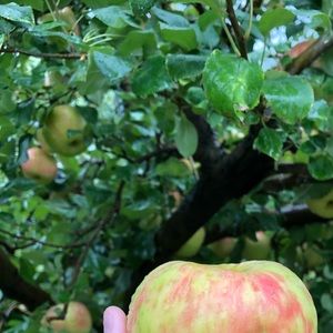 Meet your Posher, Maddy